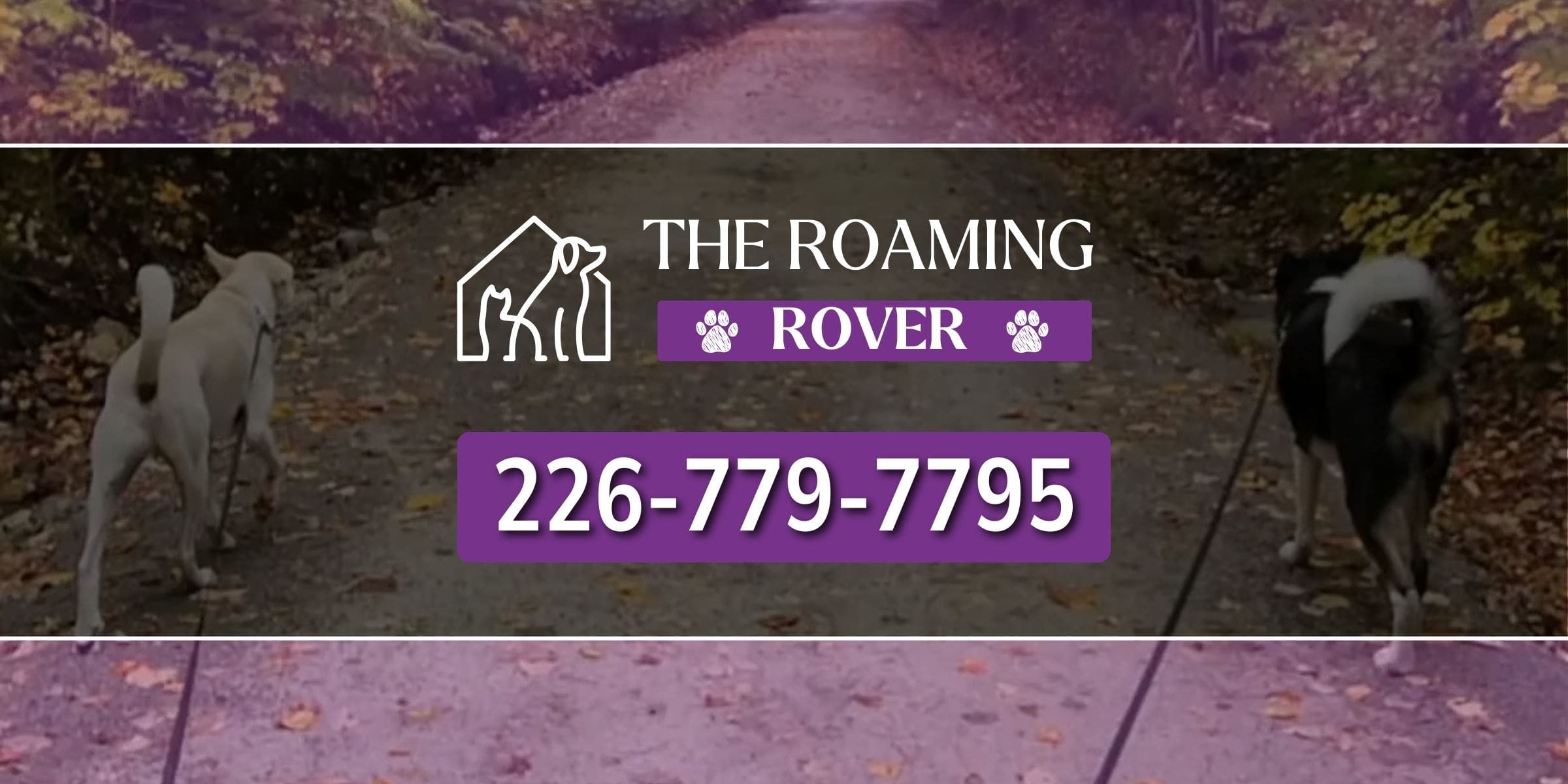 The Roaming Rover | Home & Pet Sitting